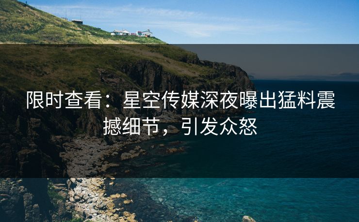 限时查看：星空传媒深夜曝出猛料震撼细节，引发众怒
