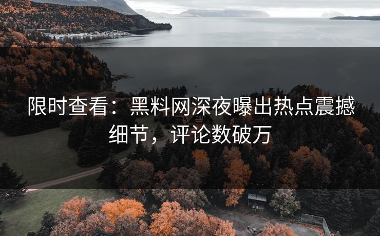限时查看：黑料网深夜曝出热点震撼细节，评论数破万