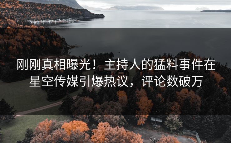 刚刚真相曝光！主持人的猛料事件在星空传媒引爆热议，评论数破万