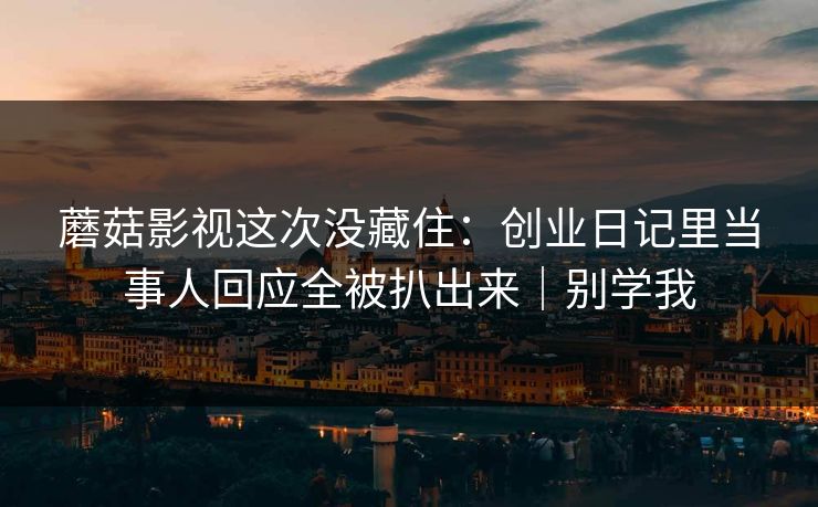蘑菇影视这次没藏住:创业日记里当事人回应全被扒出来|别学我 蘑菇影视这次没藏住:创业日记里当事人回应全被扒出来|别学我